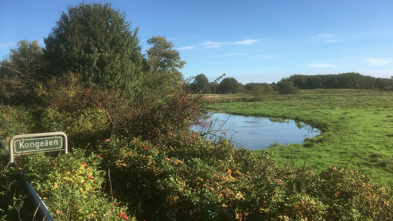 Vejen og Omegns Sportsfiskerforening