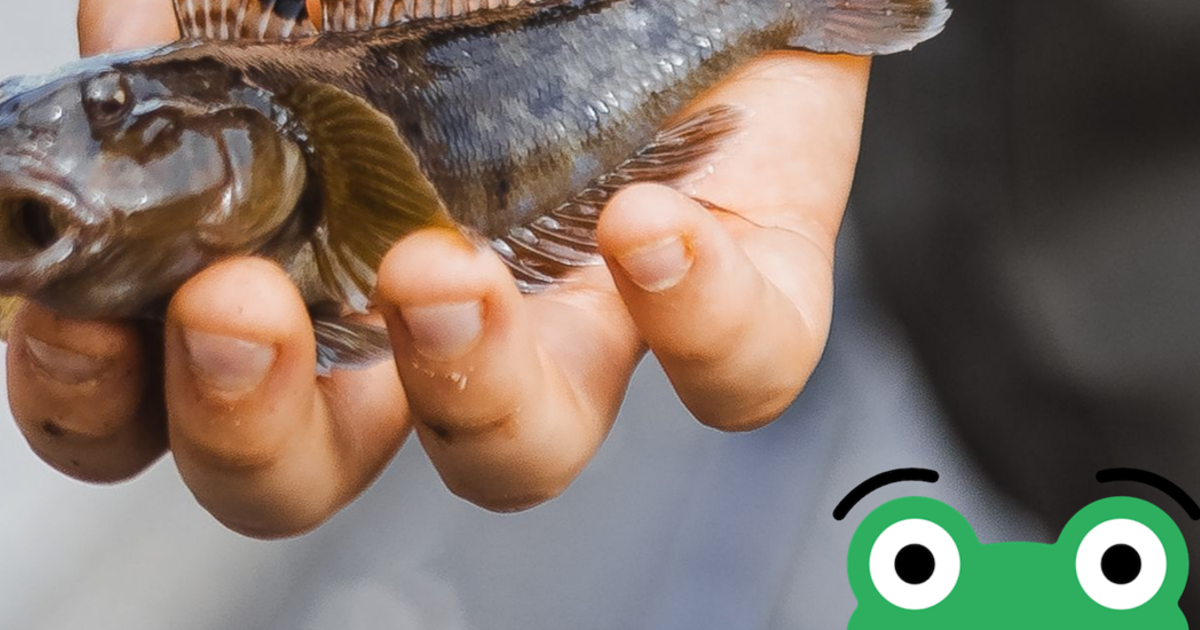 webinar TTT banner begivenhed.png