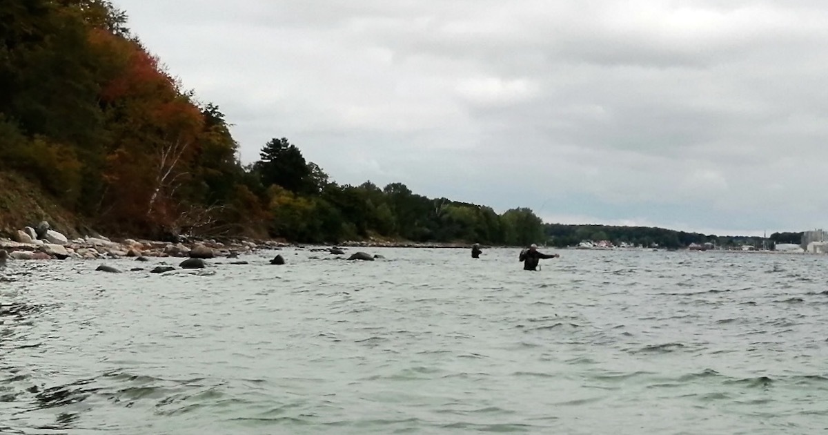 Faxe Ladeplads-kopi.jpeg