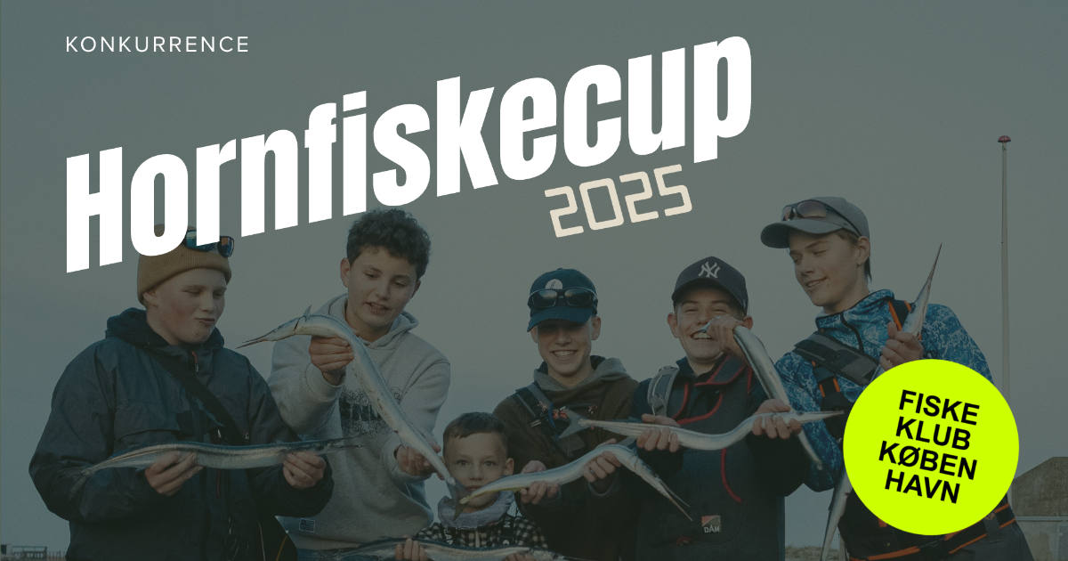 hornfiskecup2024.png