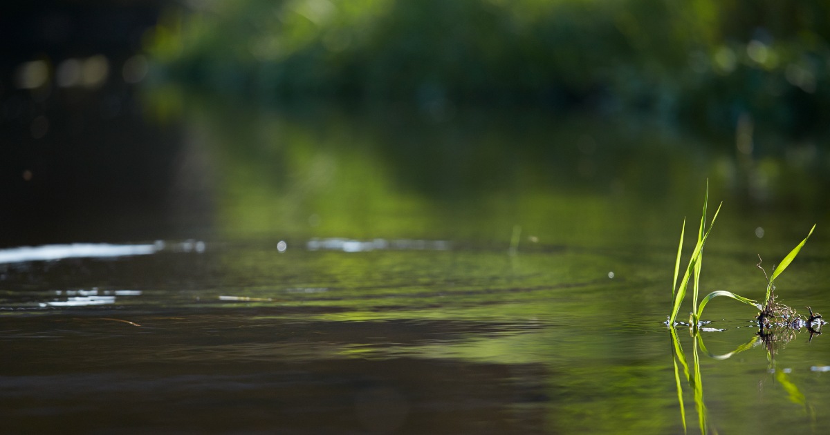 2014.05.20.Danmarks Sportsfiskerforbund123670.jpg