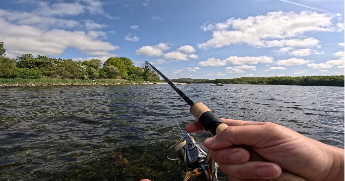 sightfishing i aarhusbugten.jpg