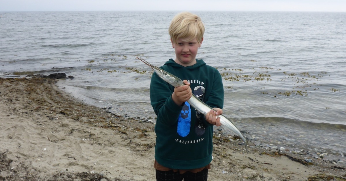 Lystfiskeriets Dag 2023_Waders.jpg