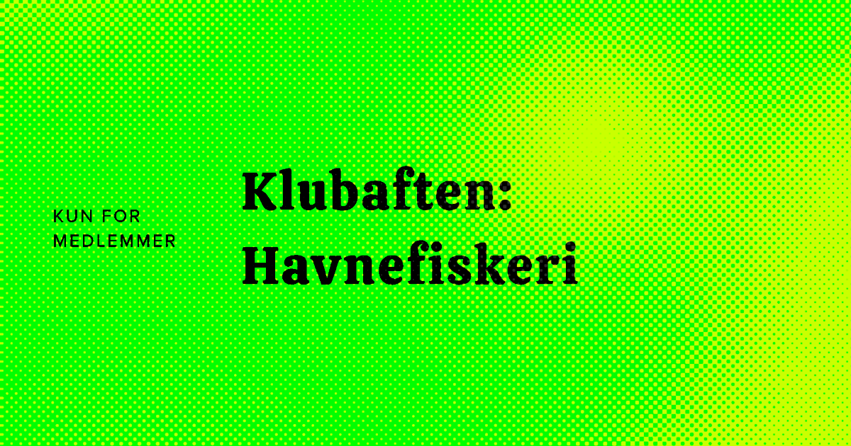 havnefiskeri.png