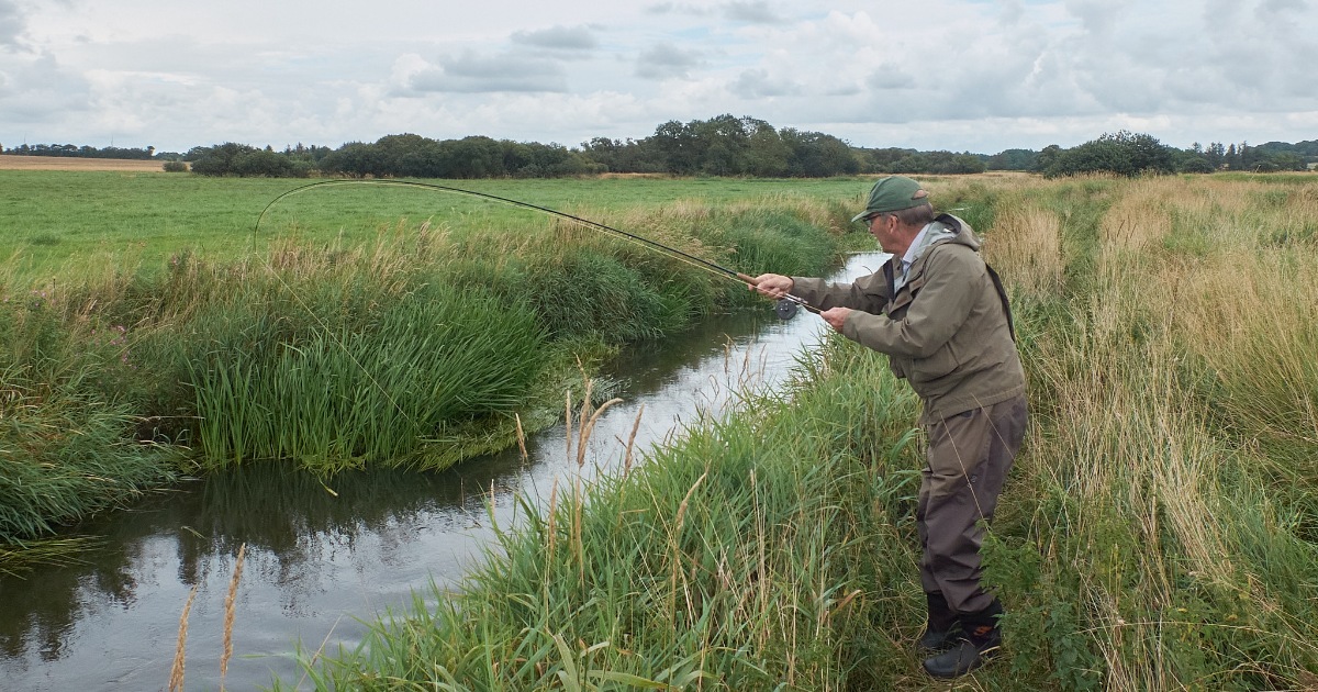 Trend å 2026 banner.jpeg