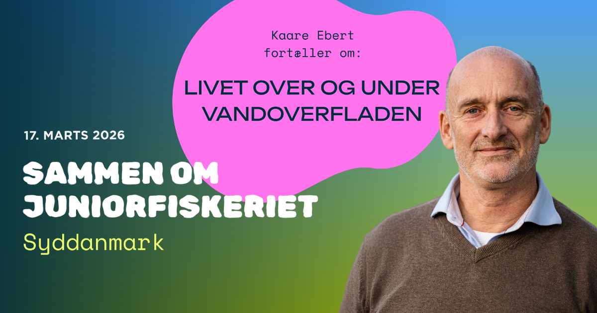 FAK_ Netværksmøder Covers - Artboard 19-syddk.png