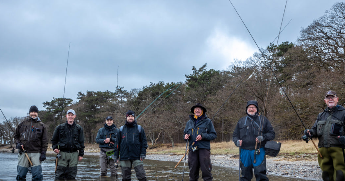 Regionale netværksmøder.png