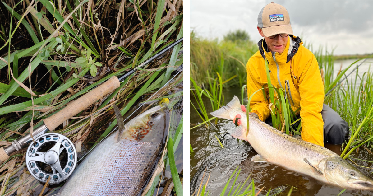 enhåndsflue ved omme å_2.png