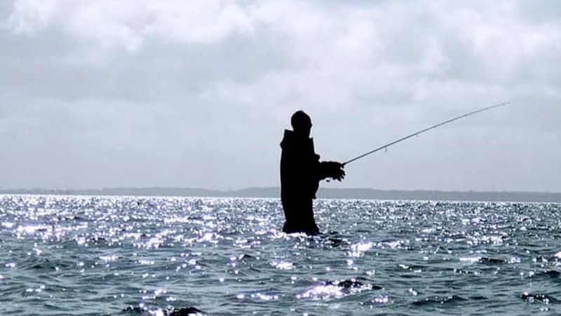 præstø fjord.jpeg