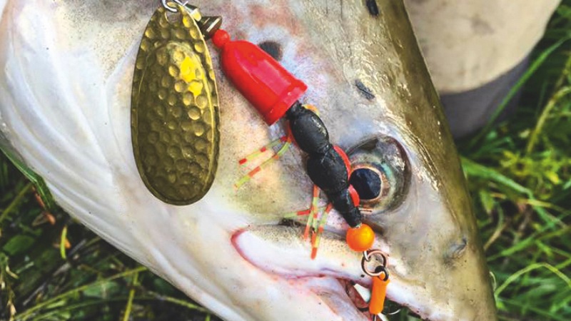 Torben Brodersen_5.jpg