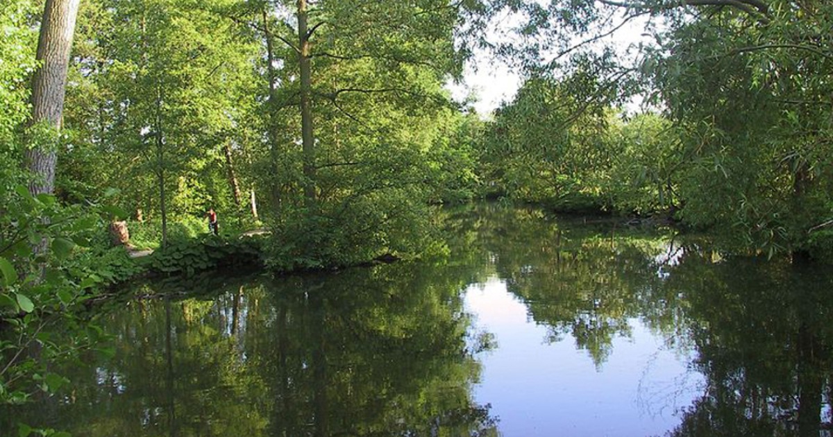 800px-denmark-odense_river-scenery.jpg