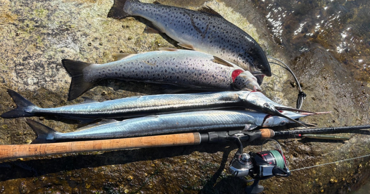 LFD lystfiskerforeningen waders.jpg