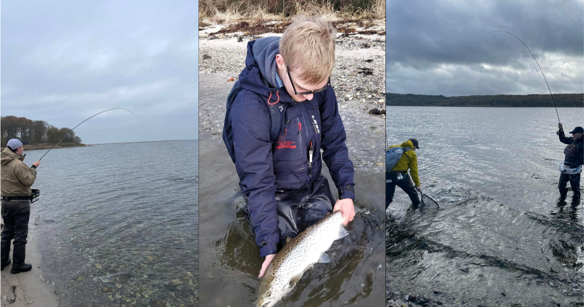 Kysttur Trelde næs.png