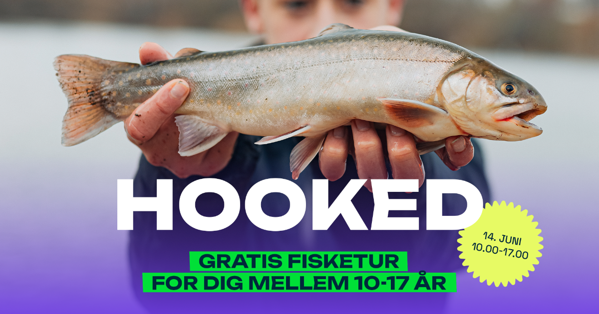 hooked-event-cover.png