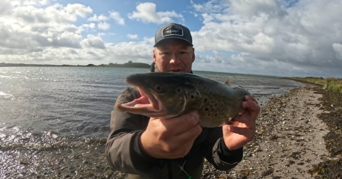 sightfishing aarhus 1.jpeg