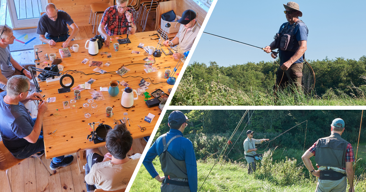 Trend å samlet.png